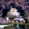 国宝松江城と夜桜