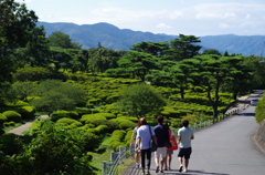 夏の思い出