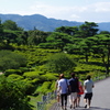 夏の思い出