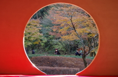 秋を覗く