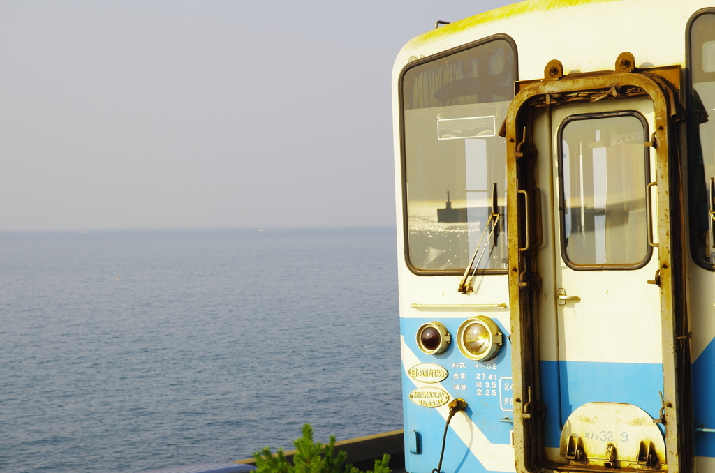 夏の背景