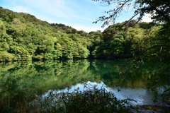 青森県の蔦沼