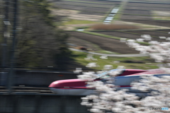 桜咲く東北新幹線