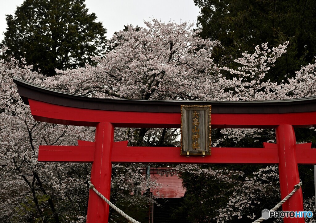 桜の名所