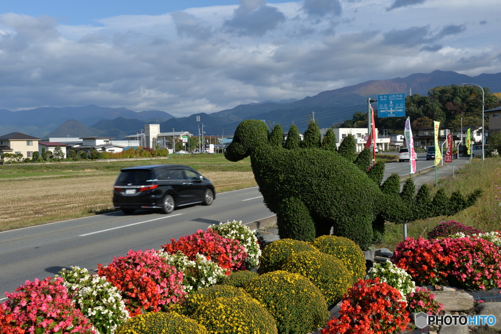 恐竜から逃げ切った車