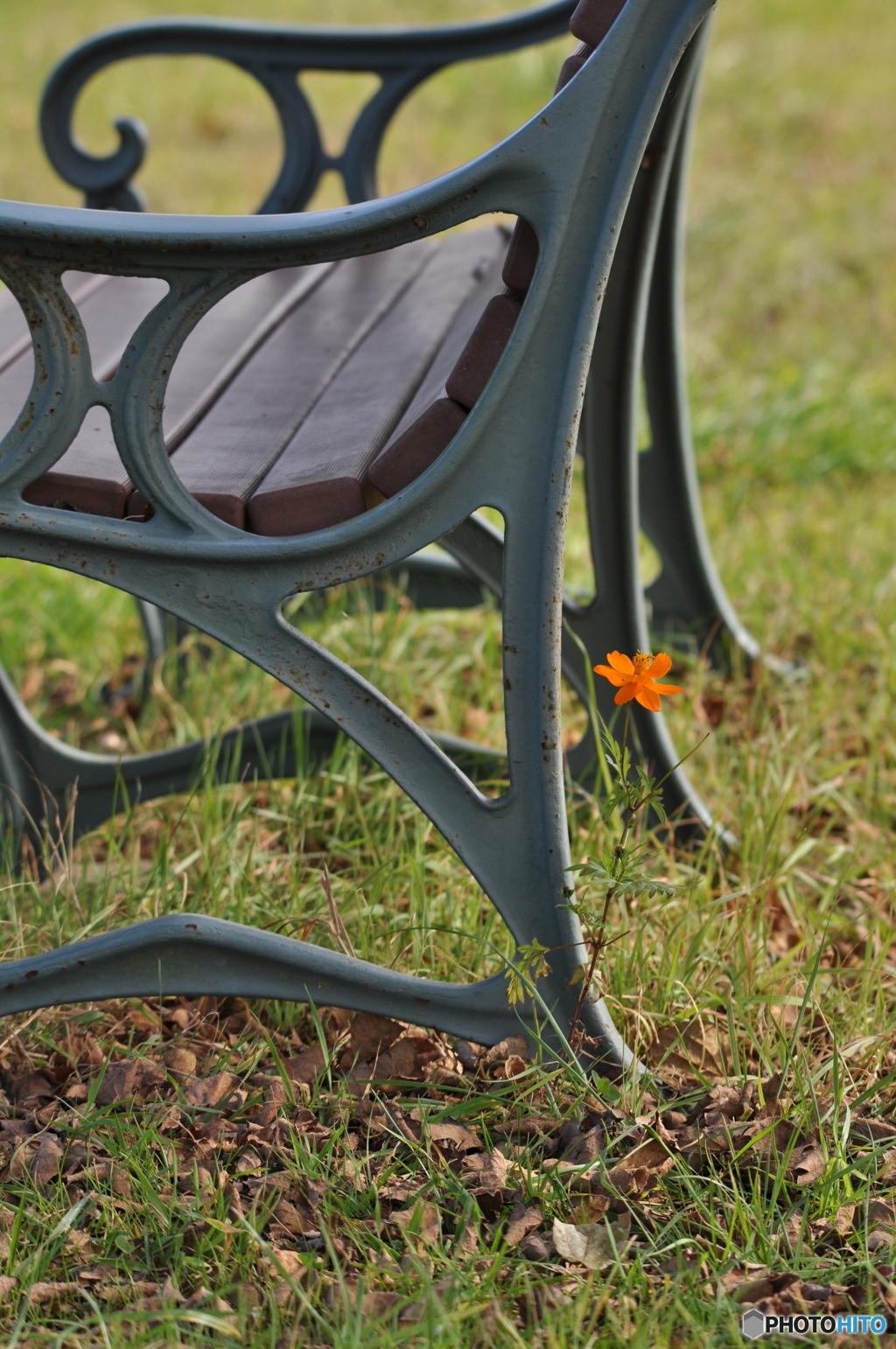 見つかっちゃった