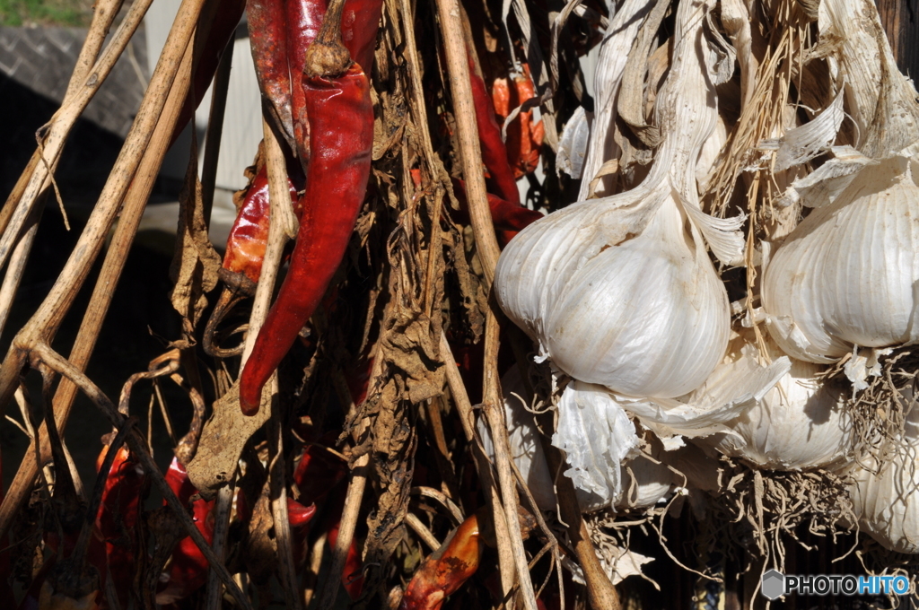 農家の庭先赤と白