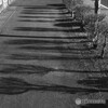 街路樹の影春近し