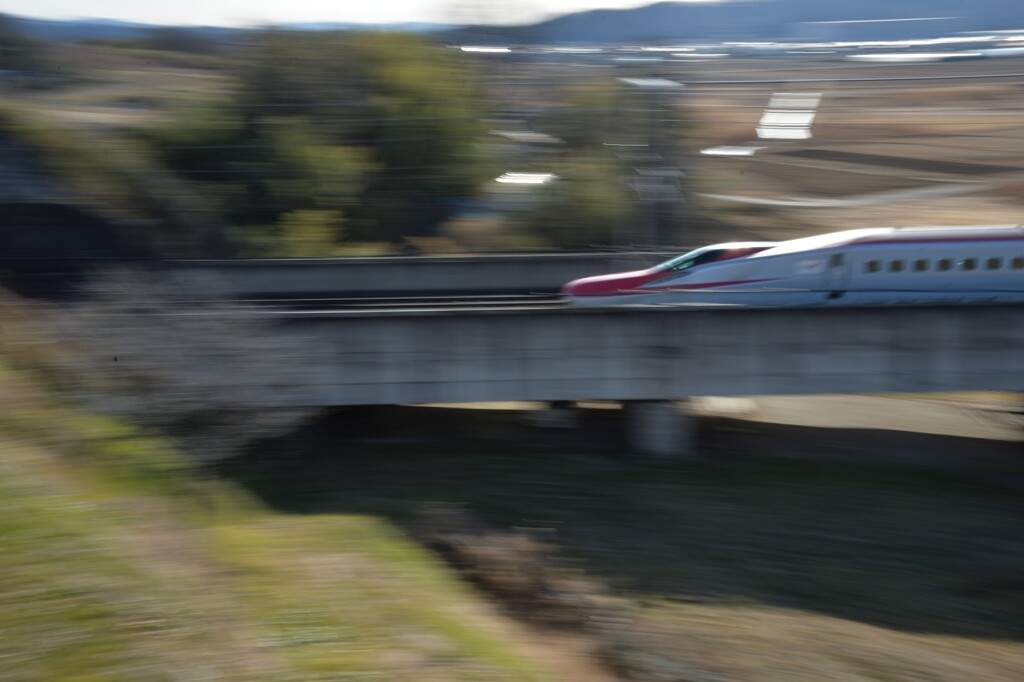 流し撮り再度挑戦