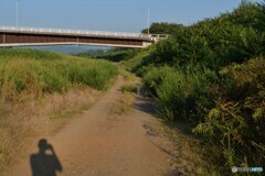 早朝の河原散歩