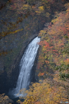 秋の不動滝