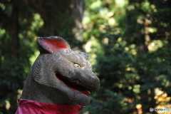 三峯神社のオオカミ