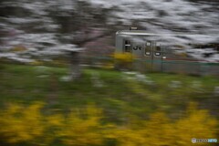 東北本線下り列車