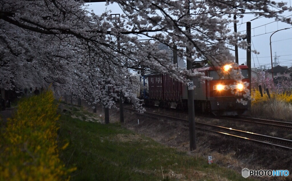 早朝の東北本線