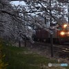 早朝の東北本線