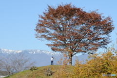 初冬の蔵王を見上げる人