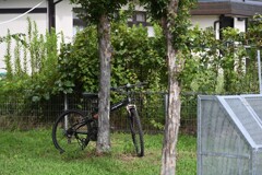 置き去りの自転車