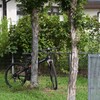 置き去りの自転車
