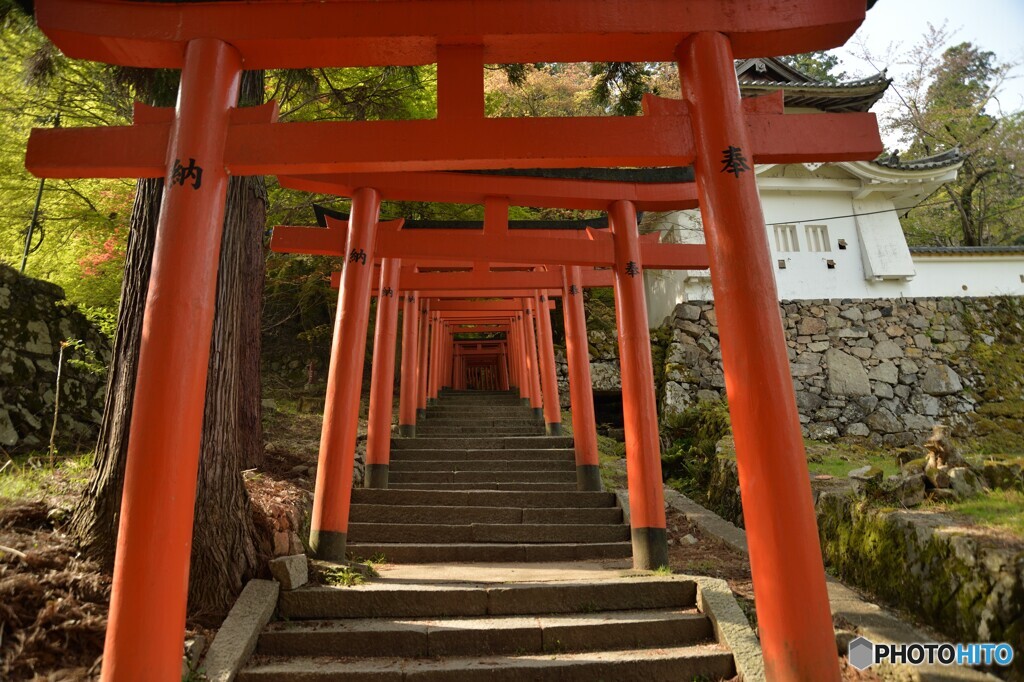 稲荷神社の鳥居