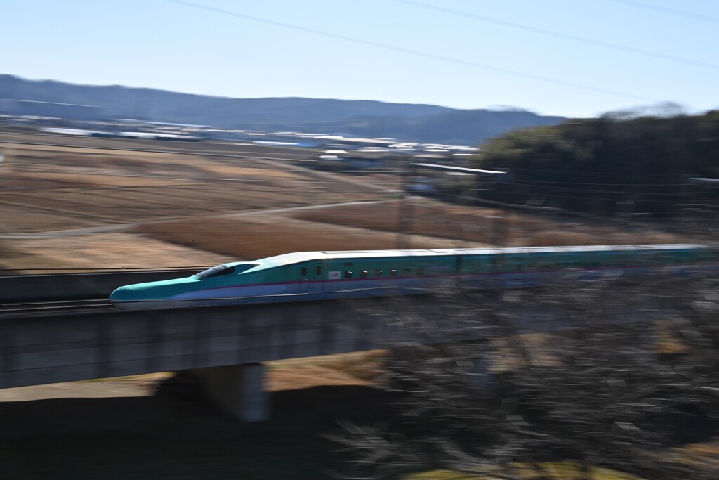 新年初の流し撮り