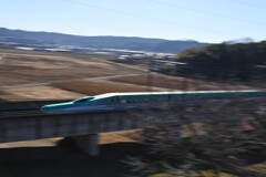 新年初の流し撮り