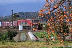 柿の実と貨物列車