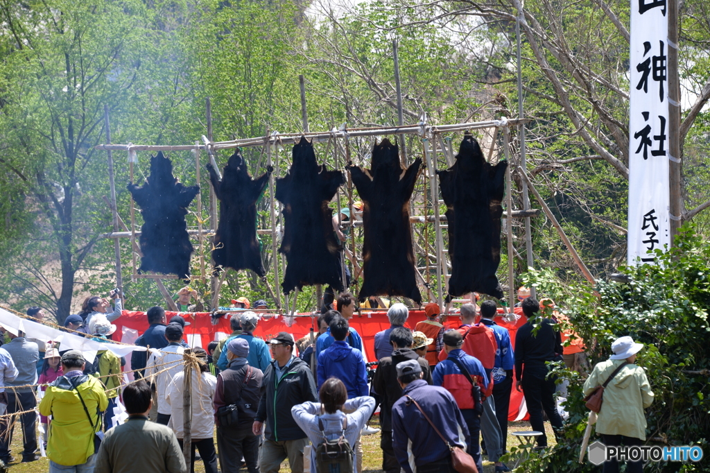 山形県小国町小玉川地区の熊祭り