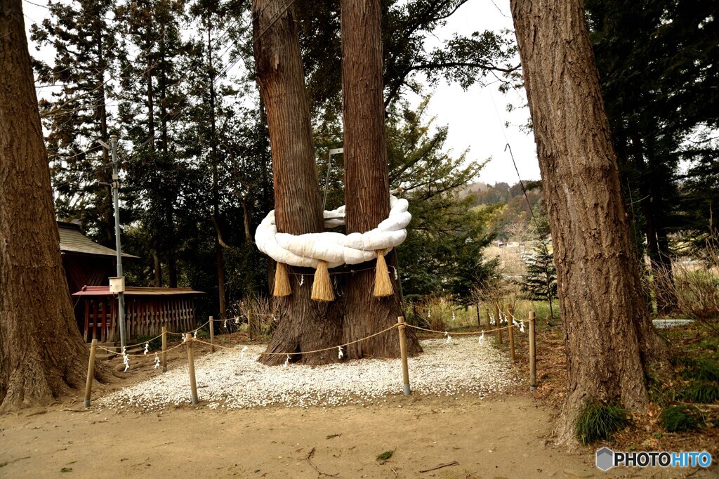 白鳥神社の大注連縄