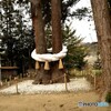 白鳥神社の大注連縄
