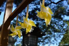 竹駒神社の風車