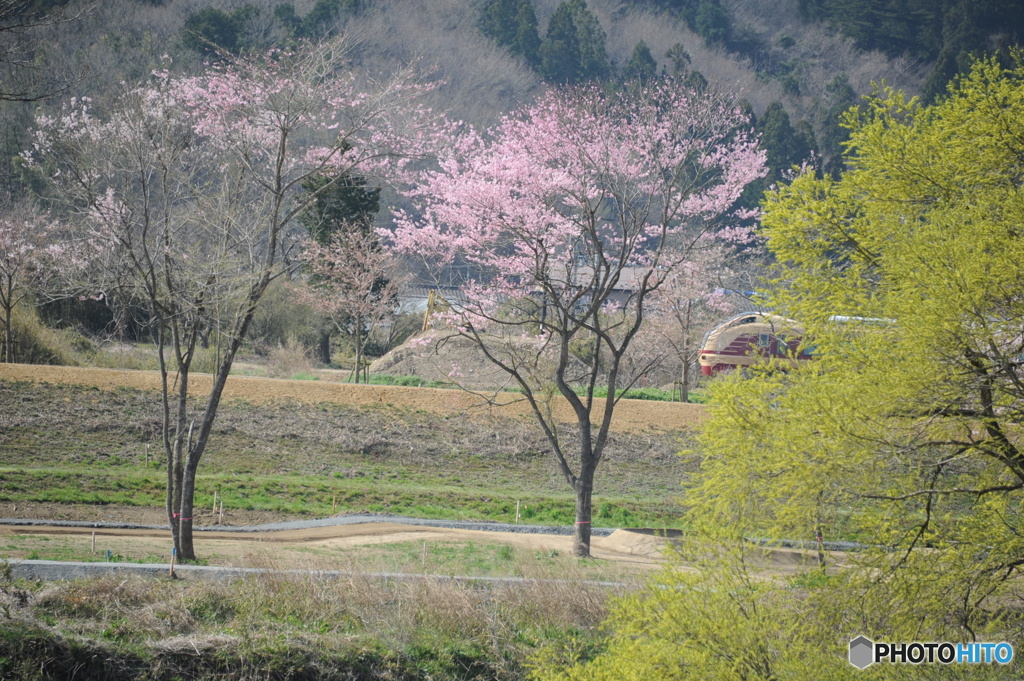 東北新幹線の特急特急