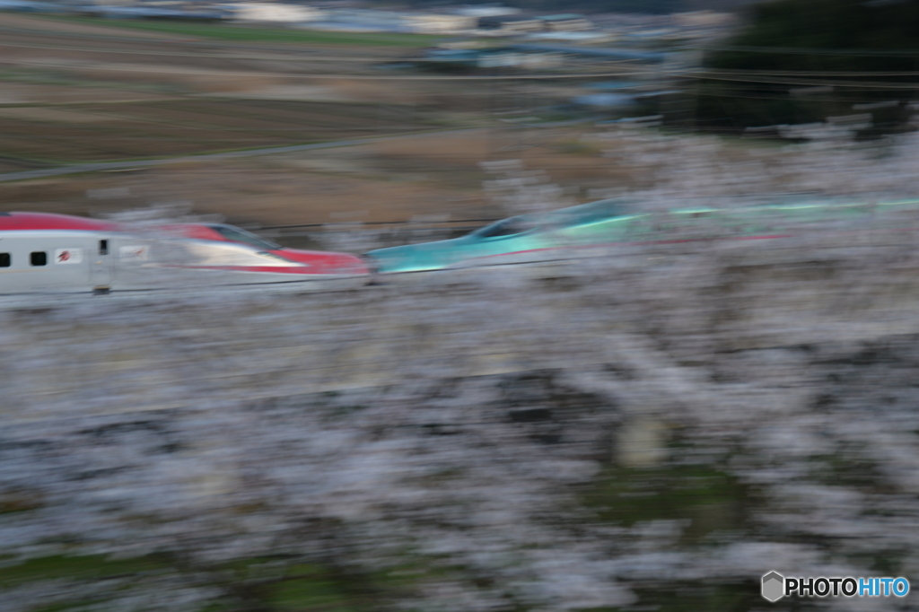 新幹線Ｅ５系とＥ６系