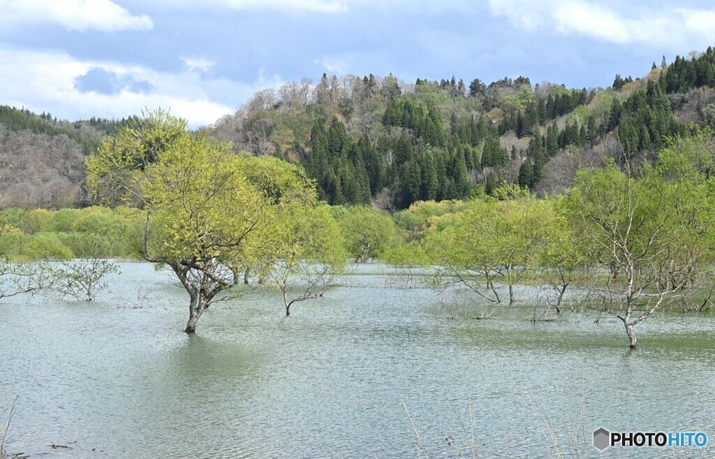 湖水の風景