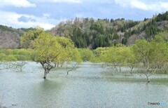 湖水の風景
