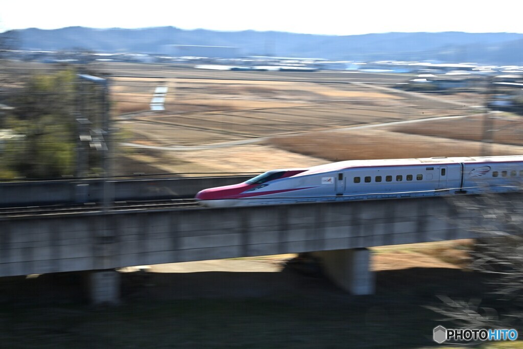 新年初の流し撮り