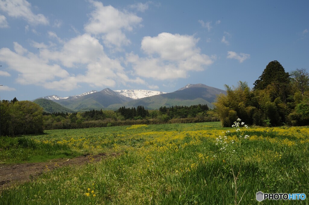 北の国から　初夏