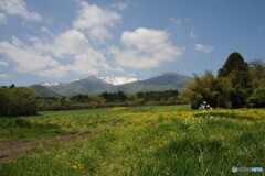北の国から　初夏