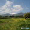 北の国から　初夏