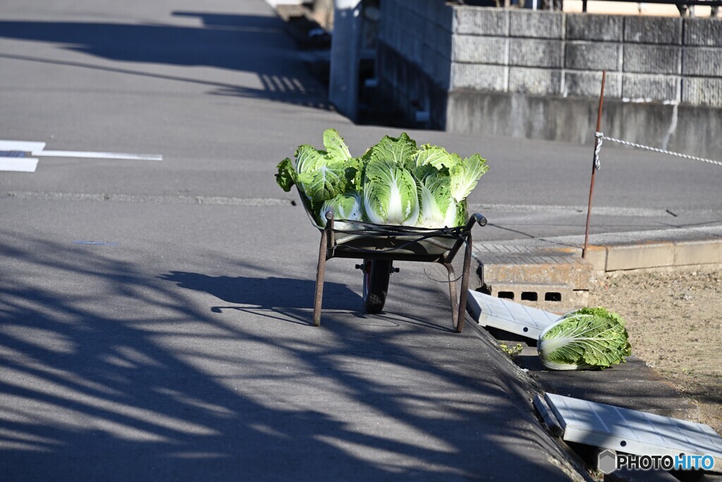 東北の田舎町の冬支度
