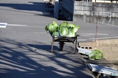 東北の田舎町の冬支度