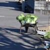 東北の田舎町の冬支度
