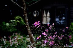 あるガーデン