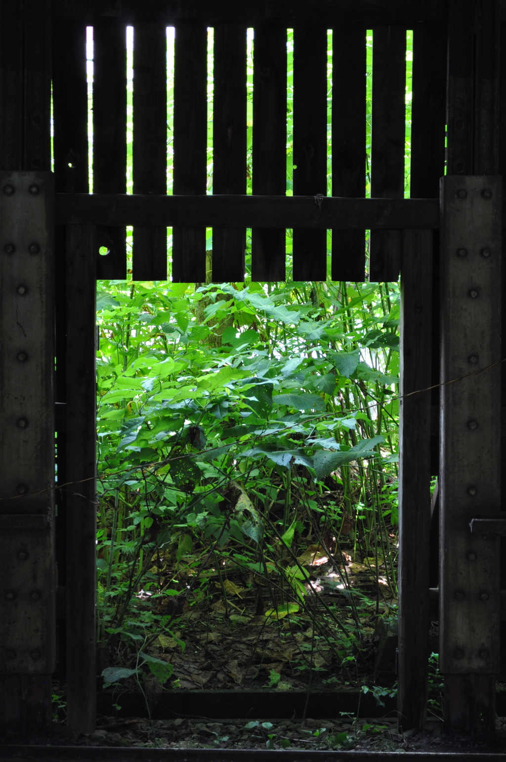 峠駅シェルターから