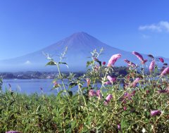 夏の富士