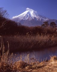 1月の富士