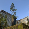 東京丸の内界隈高層ビルの風景７