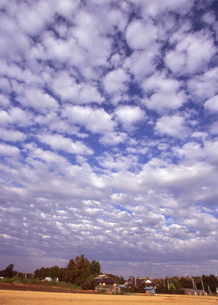 秋空