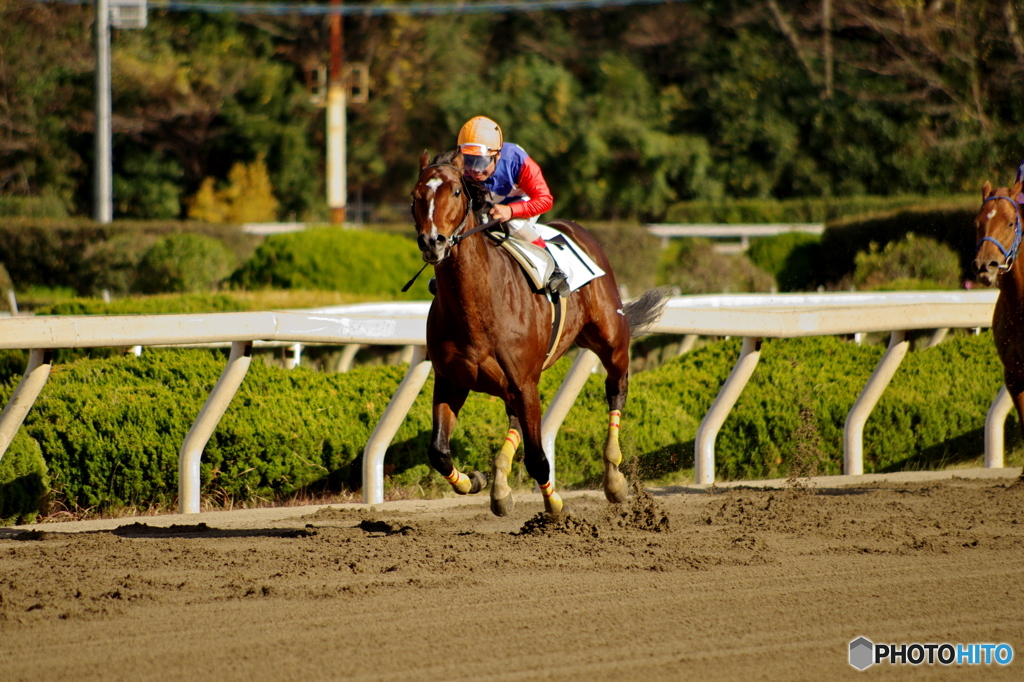 園田競馬 2015年12月29日(火)