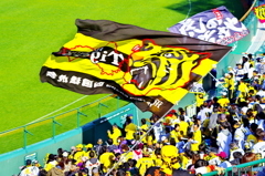 甲子園　2016開幕前