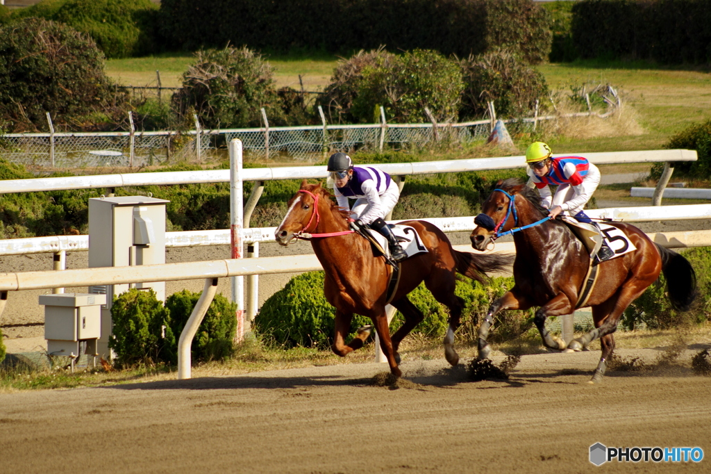 園田競馬 2015年12月29日(火)